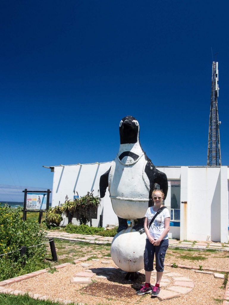 Pinguin-Rettungsstation in Cape St. Francis