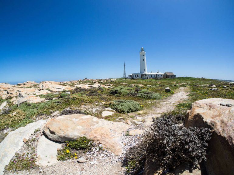 Seal Point Lighthouse in Cape St. Francis