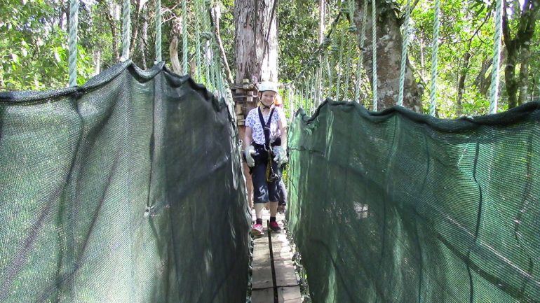 Sandra bei der Tsitsikamma Canopy Tour im Tsitsikamma Nationalpark