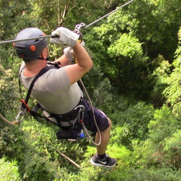 Stephan bei der Canopy Tour im Tsitsikamma Nationalpark