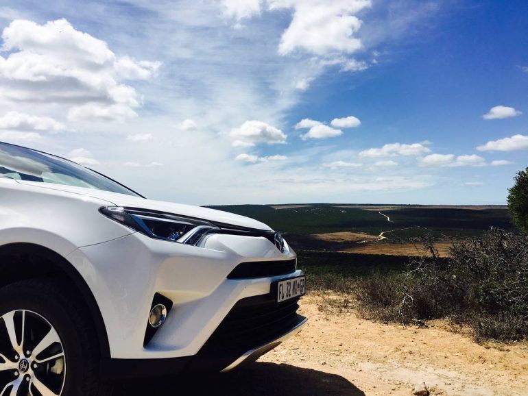 Toyota RAV4 im Addo Elephant Park