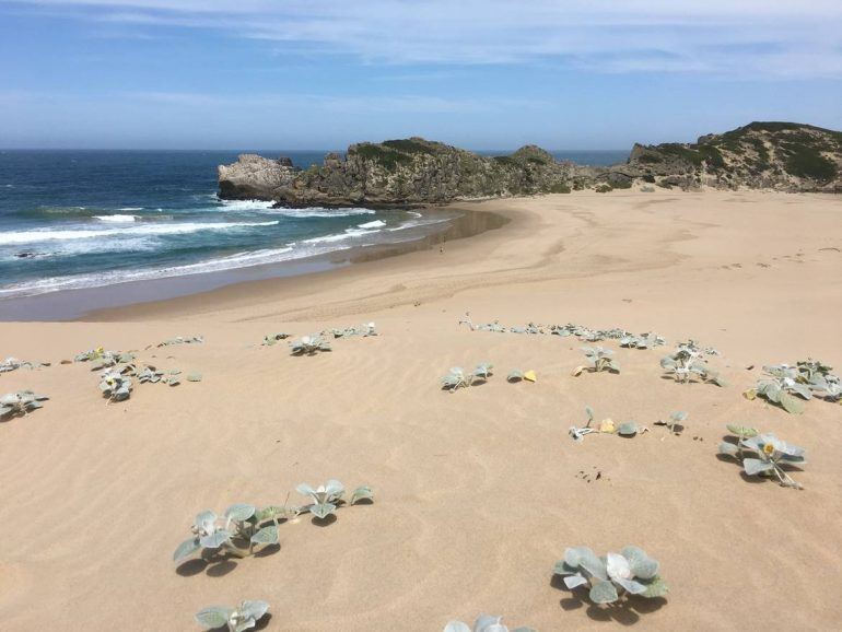 Robberg Nature Reserve