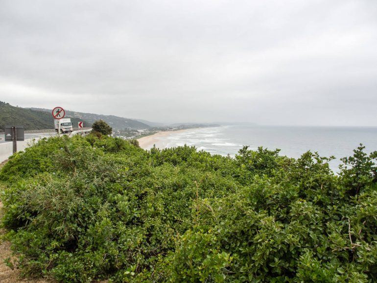 Dolphin Lookout Point