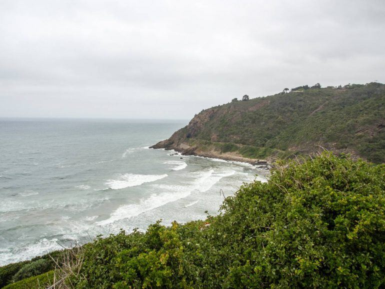 Dolphin Lookout Point