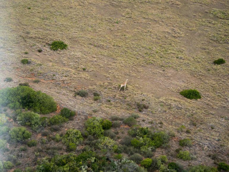 Mossel Bay Helicopters