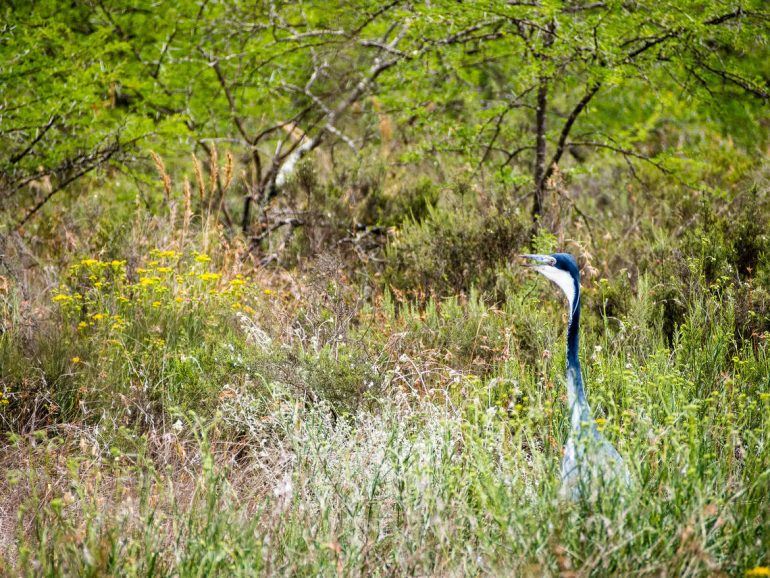 Bontebok National Park