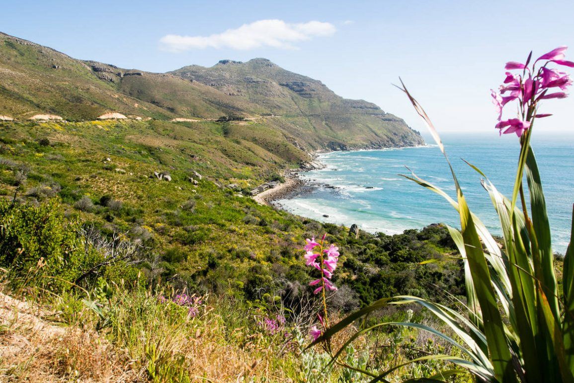 Chapman's Peak Drive