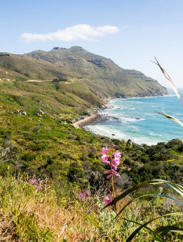 Chapman's Peak Drive