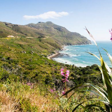 Chapman's Peak Drive