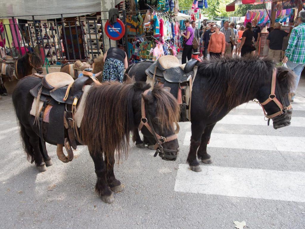 Bauernmarkt in Sineu auf Mallorca