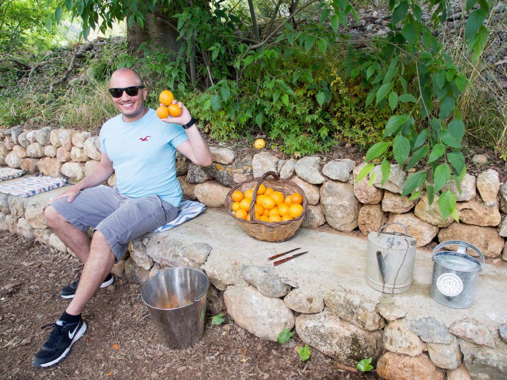 Ecovinyassa in Soller auf Mallorca