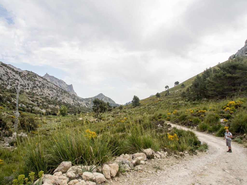 Wanderung Puig de L'Ofre