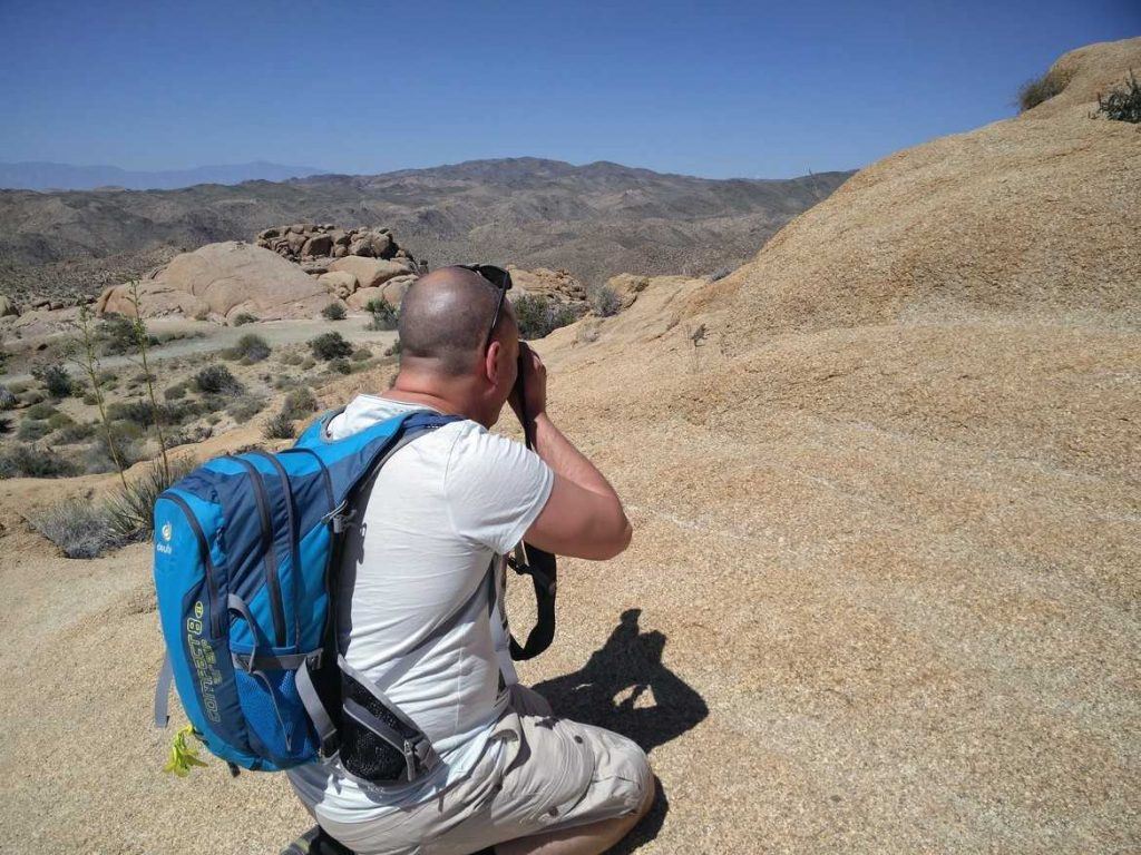 Fotografieren eines Chuckwallas im Joshua Tree Nationalpark