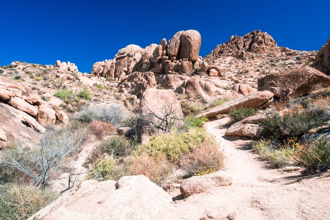 Joshua Tree Nationalpark USA