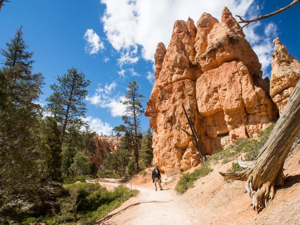 Navajo Trail im Bryce Canyon