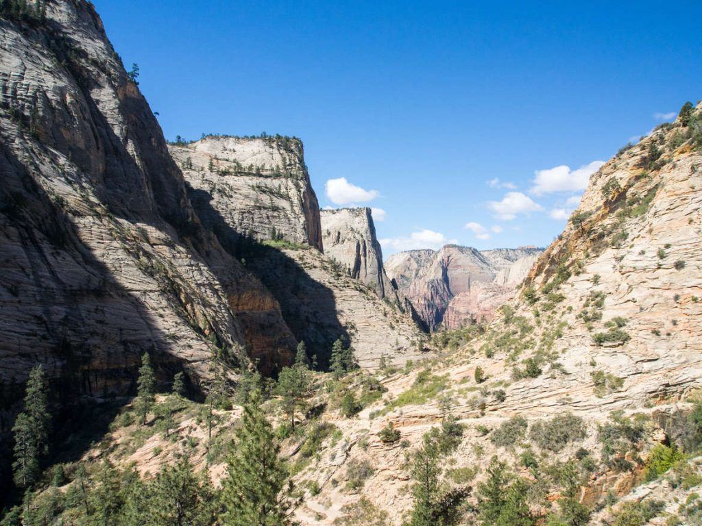 Trail im Zion Nationalpark