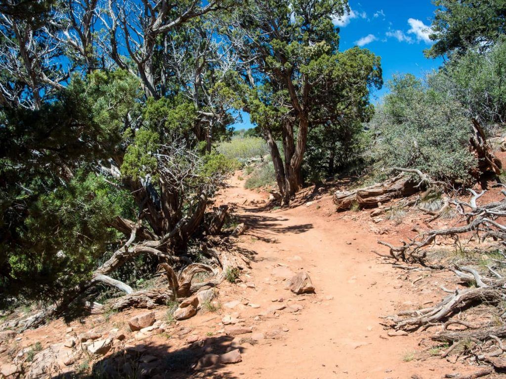 Trail zum Observation Point im Zion Nationalpark