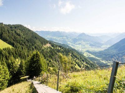 steiler Holzsteig zum Purtscheller Haus