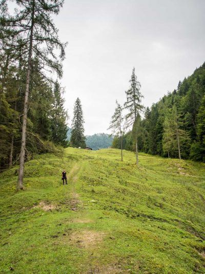 Demel-Hauseralm in Reit im Winkl