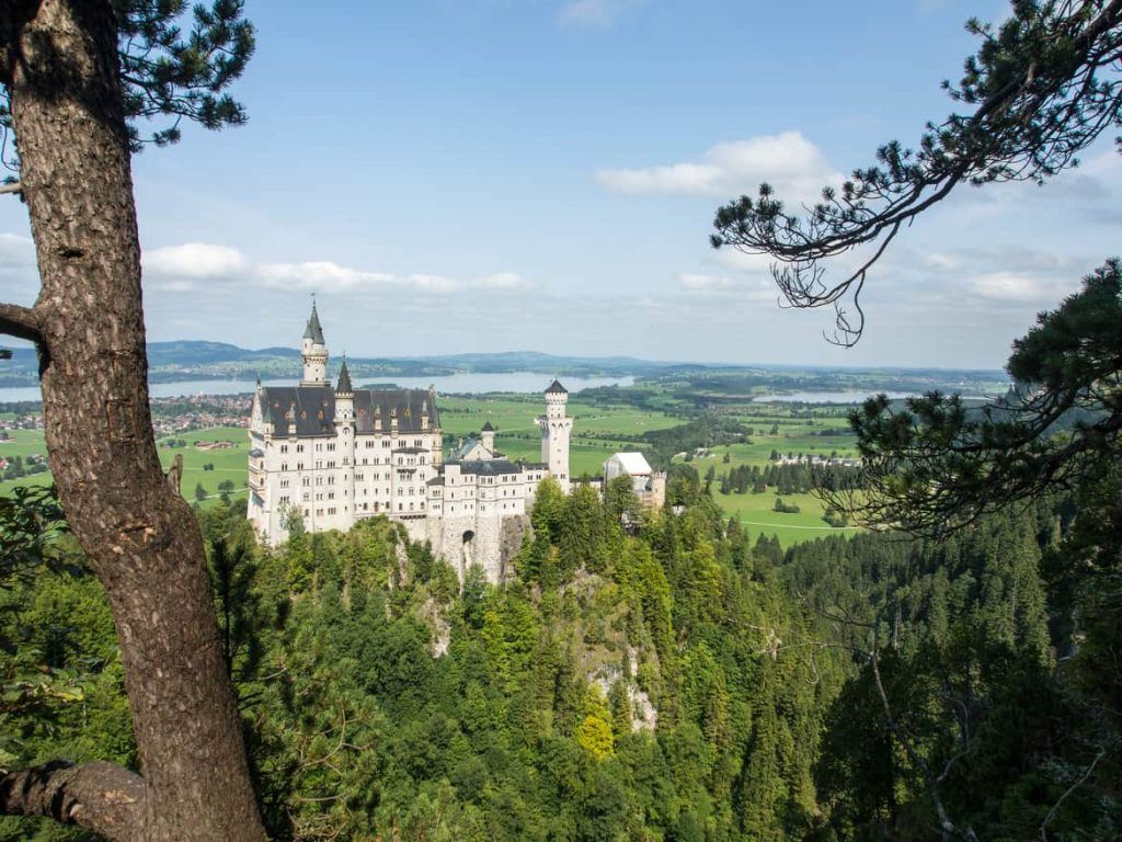 Blick auf Schloss Neuschwanstein vom Aussichtspunkt im Wald aus