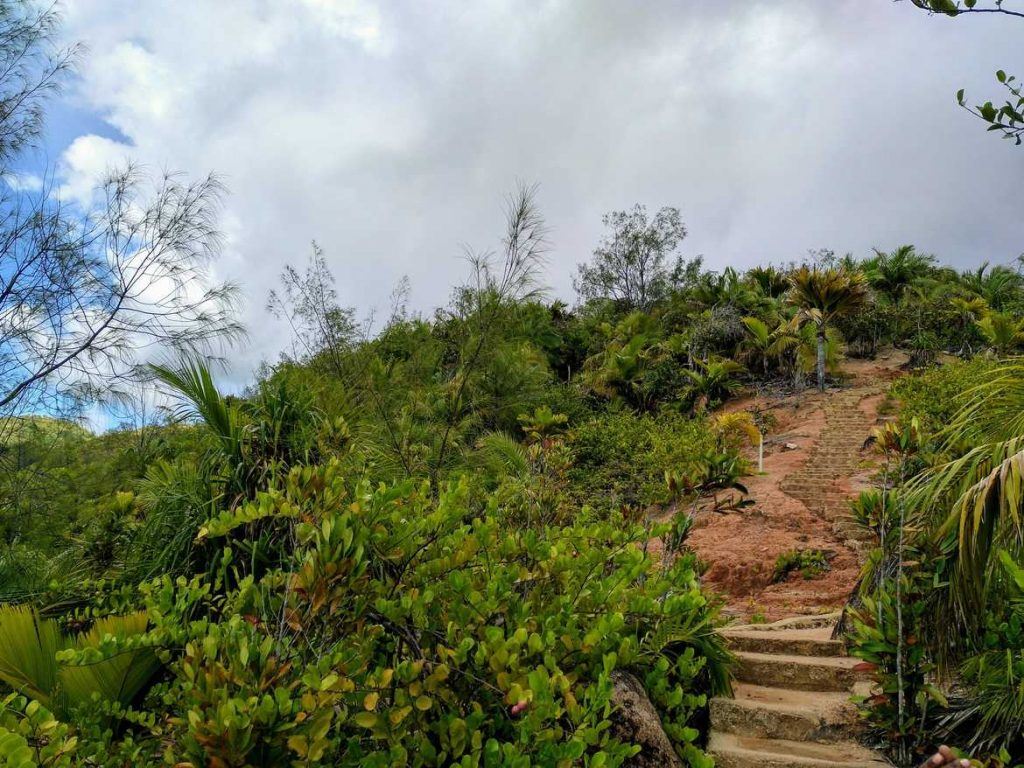 Stufen zum Aussichtspunkt Fond Ferdinand auf Praslin Seychellen