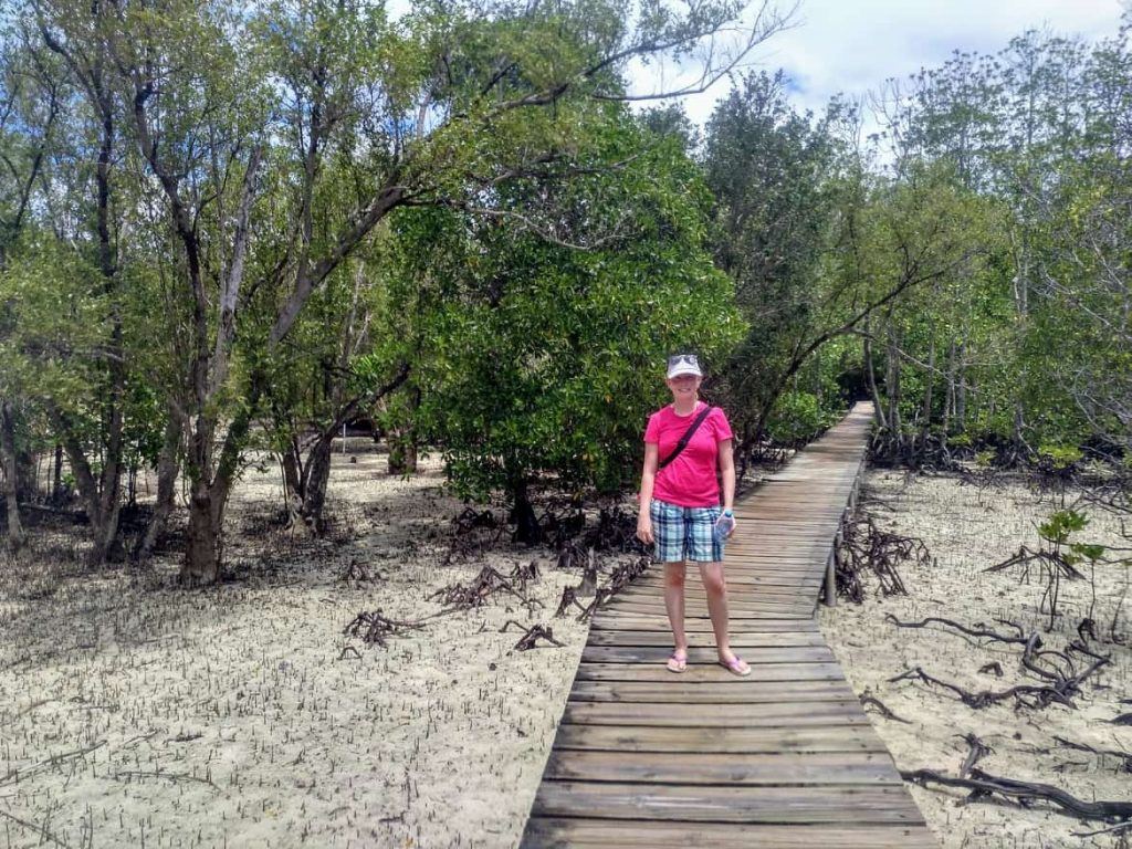 Holzsteg über Mangroven auf Curieuse Seychellen