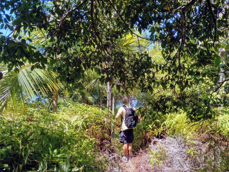 Weg durch den Wald zum Nid Daigle auf La Digue Seychellen