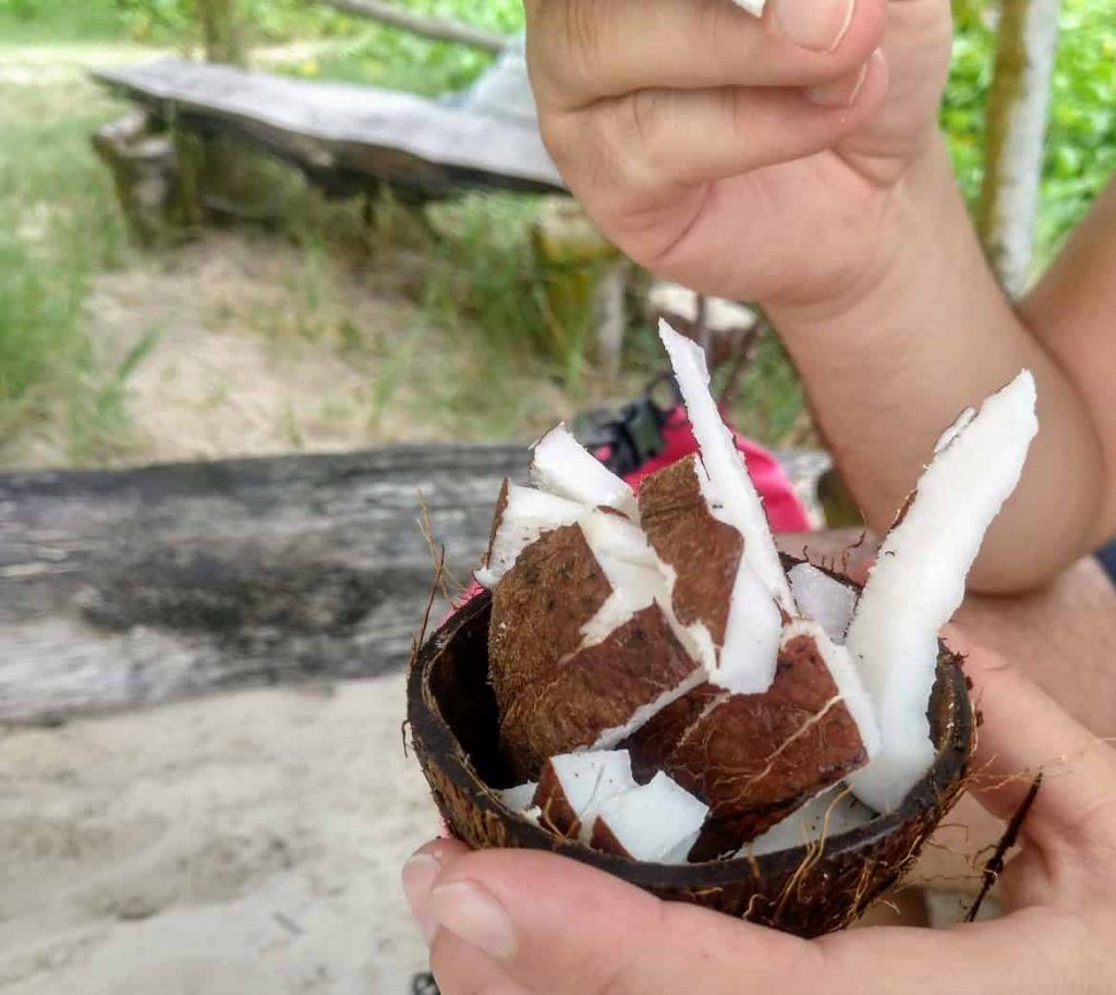 frische Kokosnuss an der Petite Anse auf La Digue Seychellen