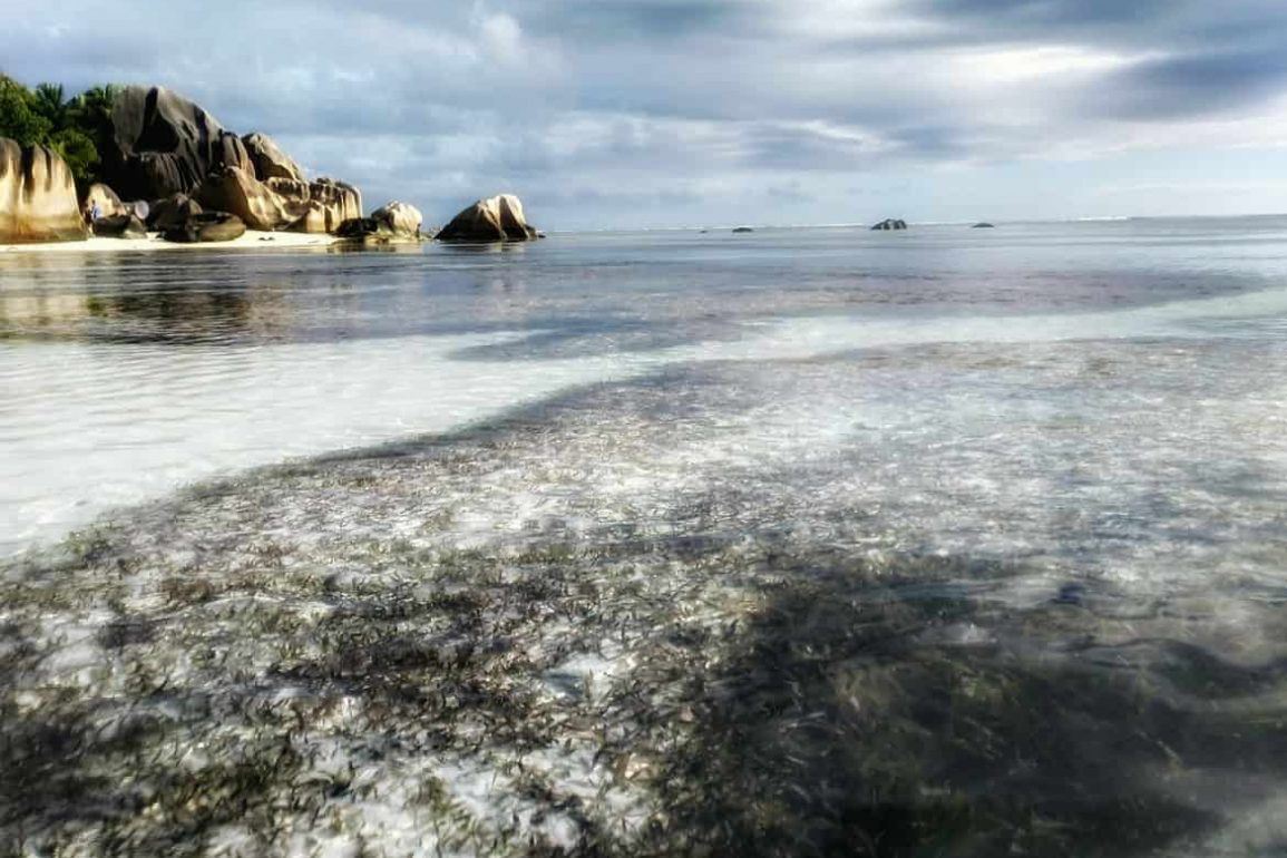 Anse Source D'Argent auf La Digue Seychellen