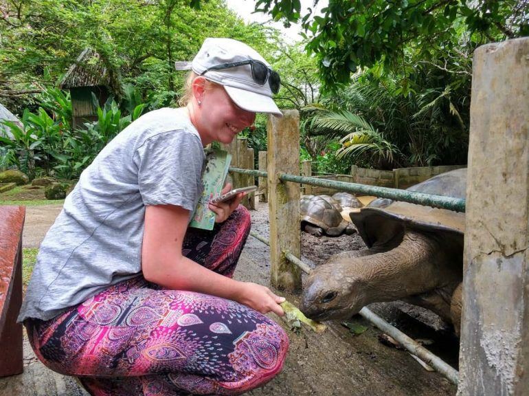 Fütterung der Riesenschildkröte auf dem Jardin du Roi Gewürzgarten auf Mahe Seychellen
