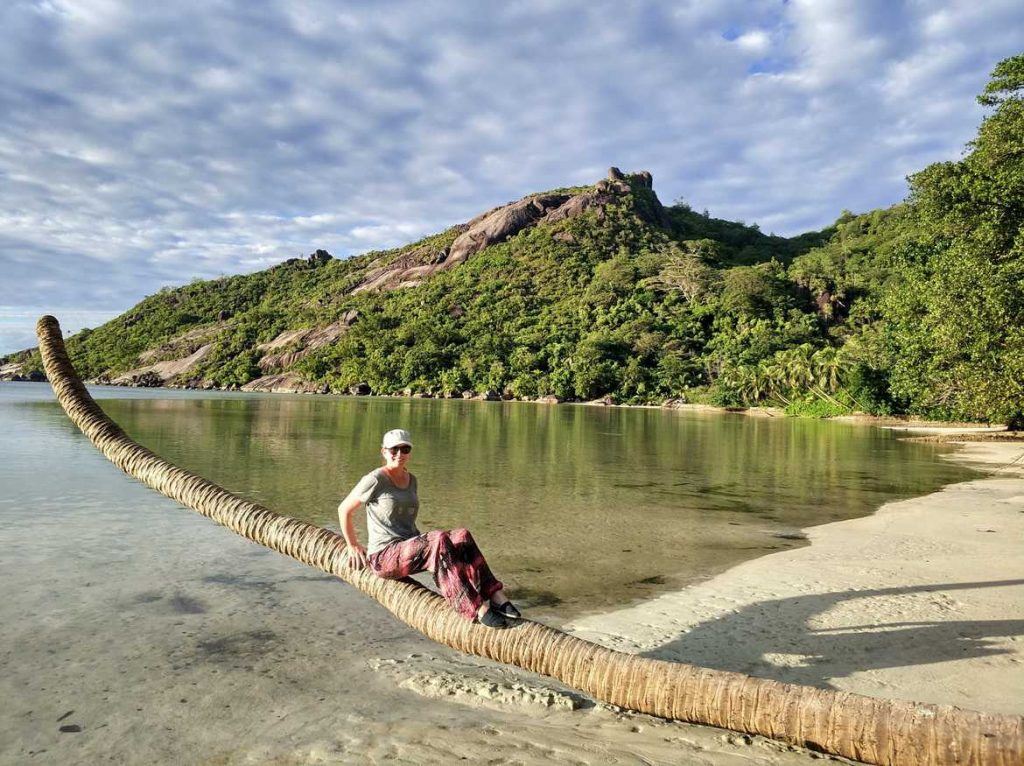 Baie Ternay auf Mahe Seychellen Palme am Strand