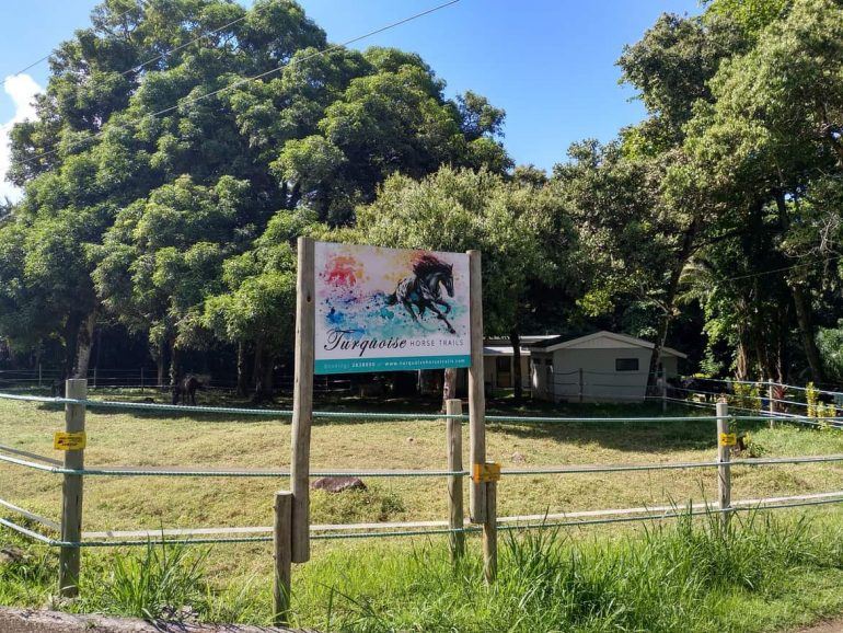 Turquoise Horse Trail Rides Eingangsschild auf Mahe Seychellen