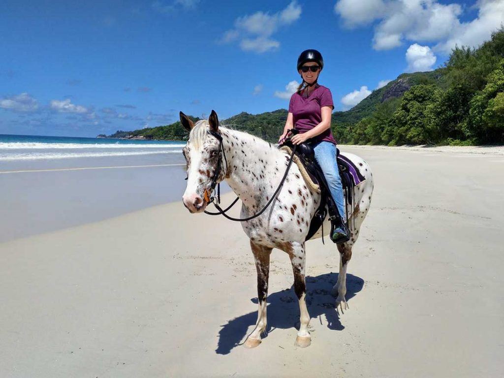 Stute Yazela von Turquoise Horse Trails Mahe Seychellen
