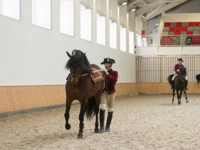 Lusitano im Training Hofreitschule Belem in Lissabon in Portugal