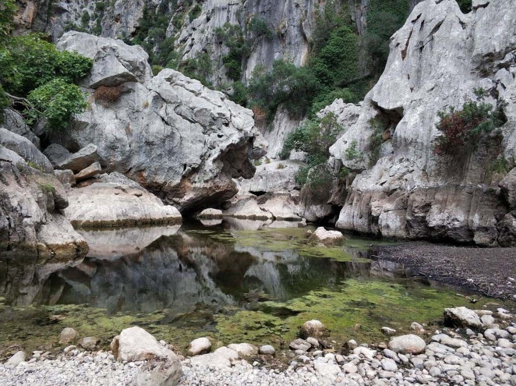 Wasser im Torrent de Pareis auf Mallorca