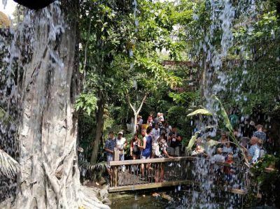 Regenwald Bereich im Palma Aquarium Mallorca