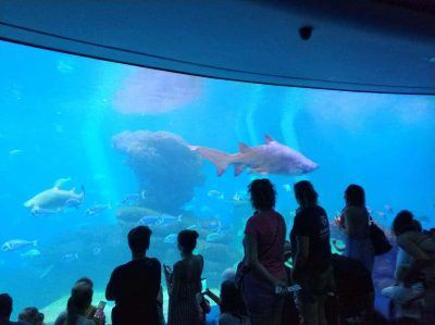 Palma Aquarium auf Mallorca