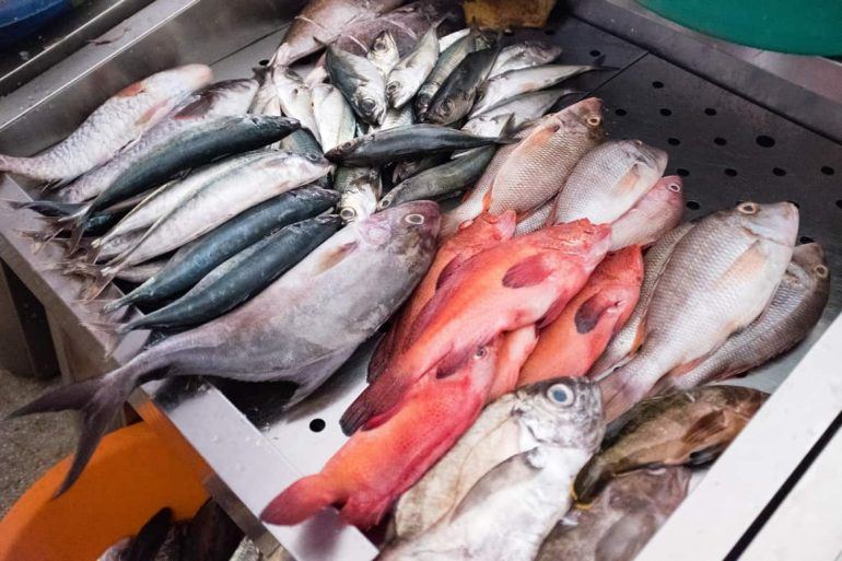 Fische auf dem Markt auf Praia Santiago Kapverden