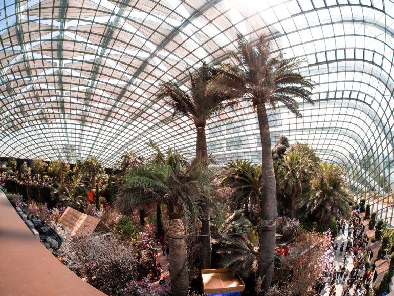 Flower Dome in Singapur