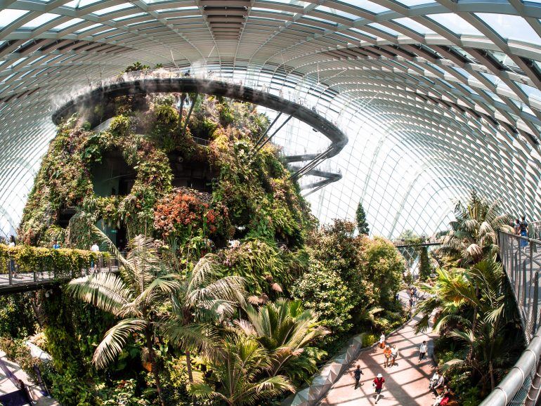 Cloud Forest in Singapur