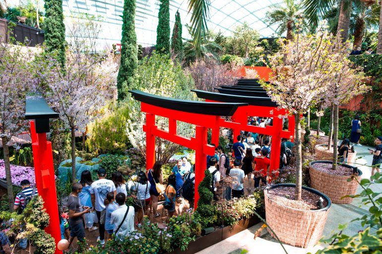 Flower Dome in Singapur