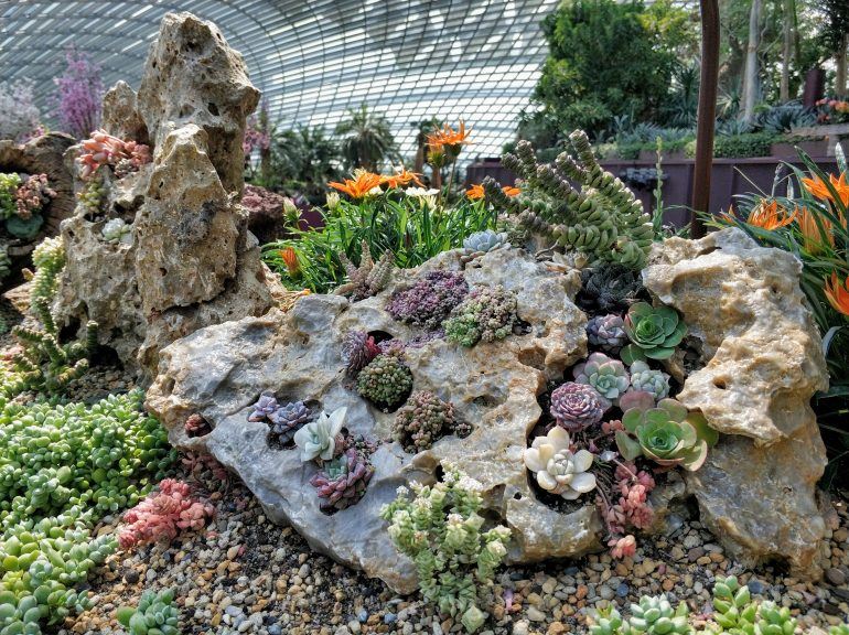 Flower Dome Singapur