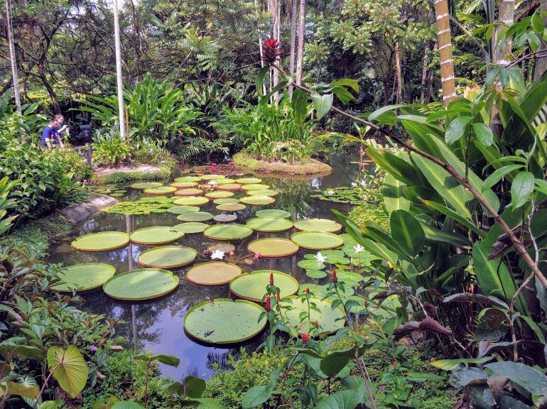 Botanischer Garten Singapur