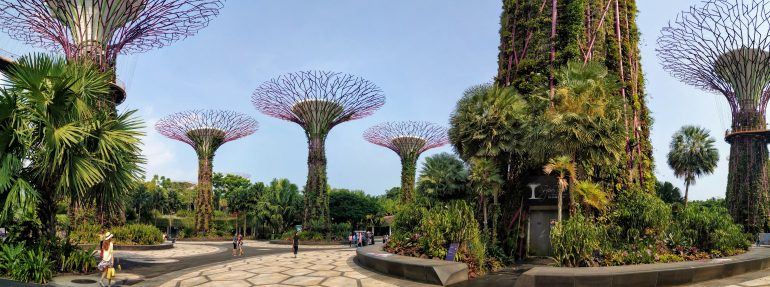 Panorama Supertrees Singapur