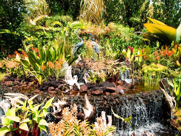 Botanischer Garten Singapur