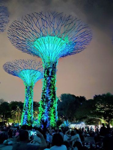 Supertrees in Singapur