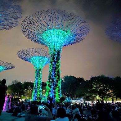Supertrees in Singapur
