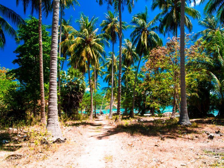 Weg zur Bucht auf Koh Tan Thailand