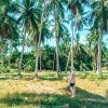 Sandra auf Koh Samui im Palmenwald