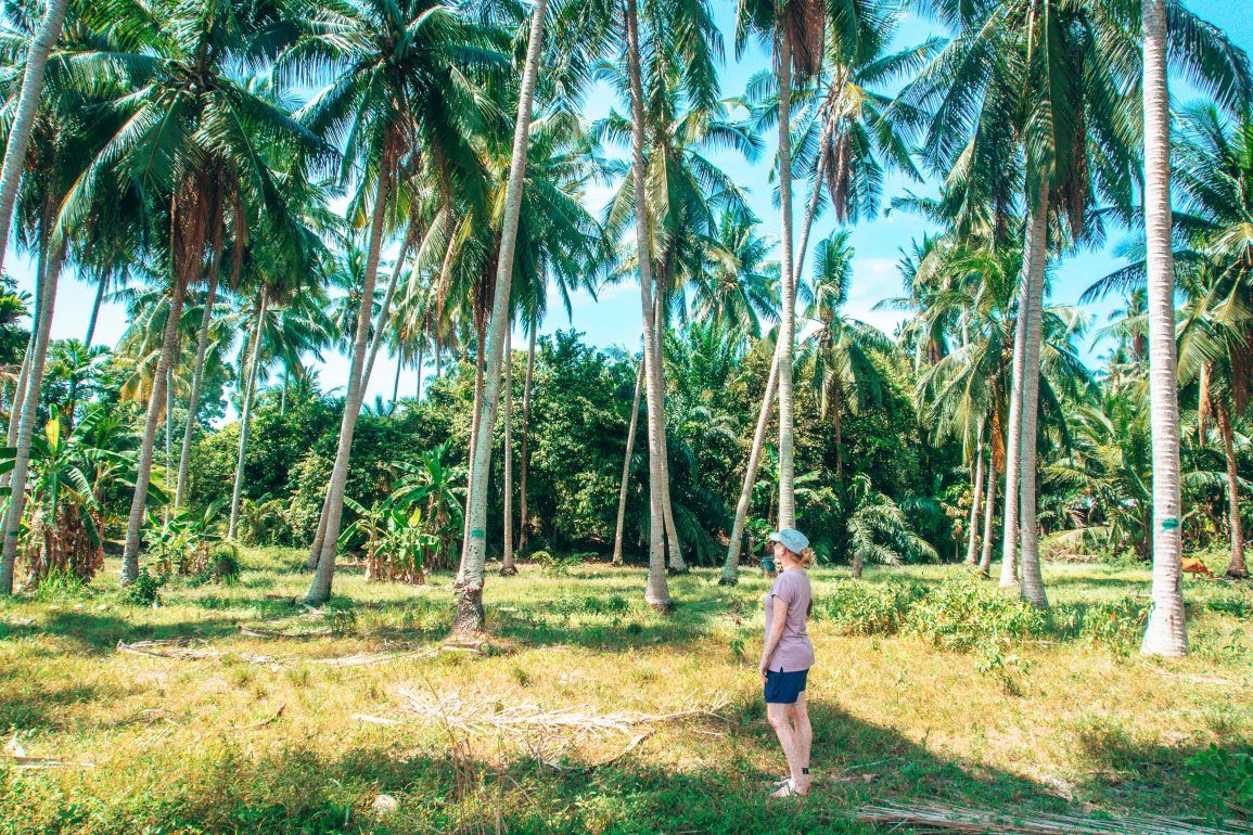 Sandra auf Koh Samui im Palmenwald